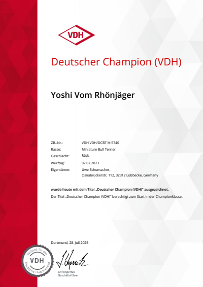 Urkunde Champion